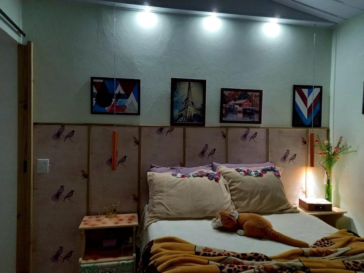 Casa Perto Do Centro Villa Garopaba Dış mekan fotoğraf